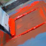 Κοντινό μεταξοτυπίας